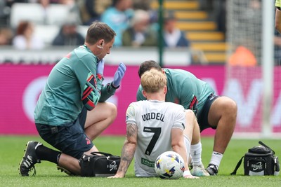 020526 - Swansea City v Charlton Athletic - Sky Bet Championship - Melker Widell of Swansea City goes down with an injury