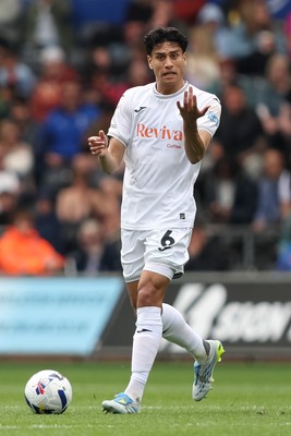 020526 - Swansea City v Charlton Athletic - Sky Bet Championship - Marko Stamenic of Swansea City asks for support 