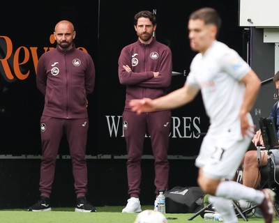 020526 - Swansea City v Charlton Athletic - Sky Bet Championship - Leon Britton (L) and Joe Allen (R) of Swansea City watch from the sidelines
