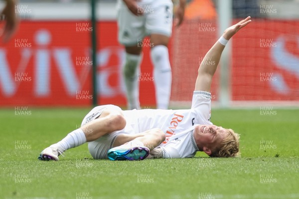 020526 - Swansea City v Charlton Athletic - Sky Bet Championship - Melker Widell of Swansea City goes down with an injury