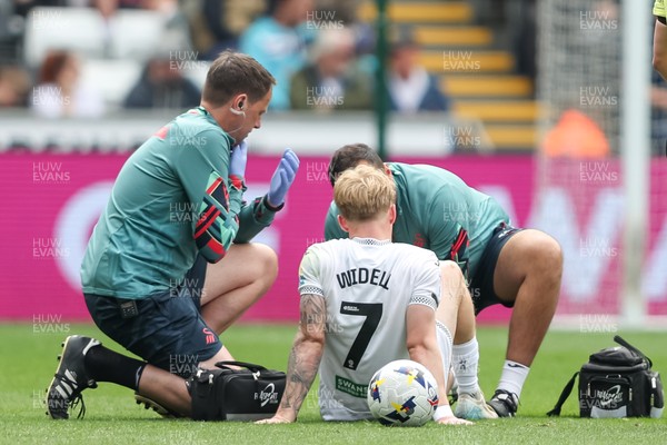 020526 - Swansea City v Charlton Athletic - Sky Bet Championship - Melker Widell of Swansea City goes down with an injury
