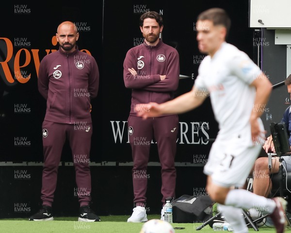 020526 - Swansea City v Charlton Athletic - Sky Bet Championship - Leon Britton (L) and Joe Allen (R) of Swansea City watch from the sidelines