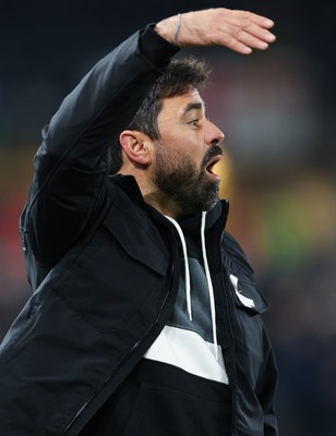 251125 - Swansea City v Derby County, EFL Sky Bet Championship - New Swansea City head coach Vítor Matos reacts during his first match in charge