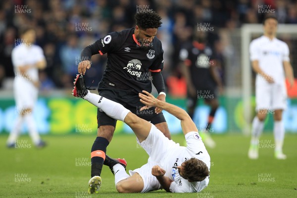 060517 - Swansea City v Everton, Premier League - Ashley Williams of Everton (left) tussles with Fernando Llorente of Swansea City