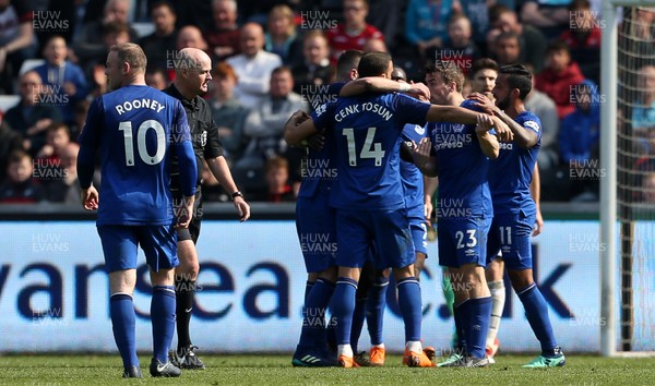 140418 - Swansea City v Everton - Premier League - Everton celebrates scoring a goal