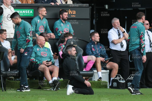 130925 - Swansea City v Hull City - Sky Bet Championship - Swansea City manager Alan Sheehan reacts by falling to the ground as Hull City score an equaliser in the 7th minute of injury time