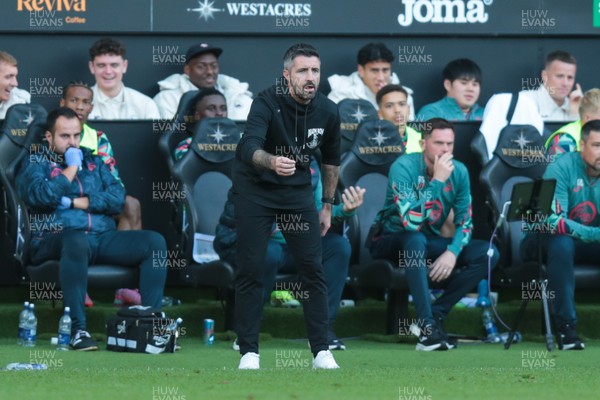 130925 - Swansea City v Hull City - Sky Bet Championship - Swansea City manager Alan Sheehan gestures on the touchline