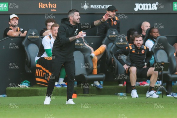 130925 - Swansea City v Hull City - Sky Bet Championship - Swansea City manager Alan Sheehan reacts on the touchline