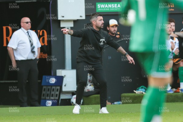 130925 - Swansea City v Hull City - Sky Bet Championship - Swansea City manager Alan Sheehan reacts on the touchline