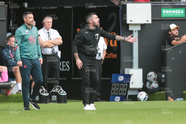 130925 - Swansea City v Hull City - Sky Bet Championship - Swansea City manager Alan Sheehan reacts on the touchline