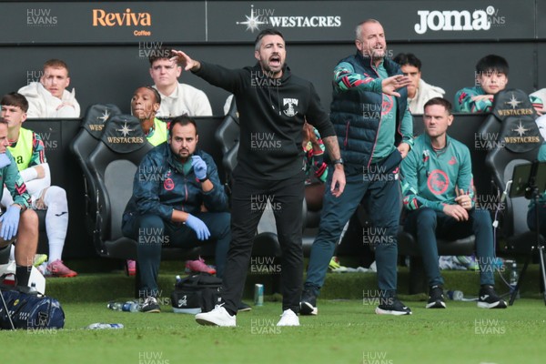 130925 - Swansea City v Hull City - Sky Bet Championship - Swansea City manager Alan Sheehan reacts on the touchline