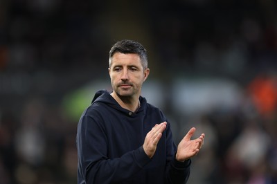 081125 - Swansea City v Ipswich Town, EFL Sky Bet Championship - Swansea City head coach Alan Sheehan reacts during the match