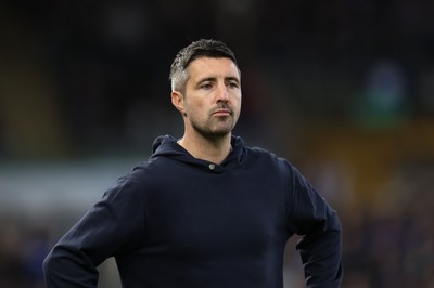 081125 - Swansea City v Ipswich Town, EFL Sky Bet Championship - Swansea City head coach Alan Sheehan reacts during the match