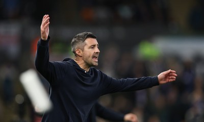 081125 - Swansea City v Ipswich Town, EFL Sky Bet Championship - Swansea City head coach Alan Sheehan reacts during the match