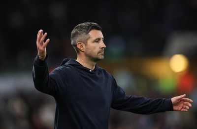 081125 - Swansea City v Ipswich Town, EFL Sky Bet Championship - Swansea City head coach Alan Sheehan reacts during the match