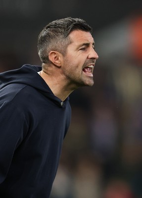 081125 - Swansea City v Ipswich Town, EFL Sky Bet Championship - Swansea City head coach Alan Sheehan reacts during the match