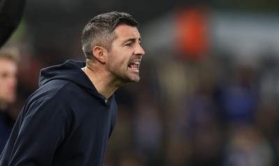081125 - Swansea City v Ipswich Town, EFL Sky Bet Championship - Swansea City head coach Alan Sheehan reacts during the match