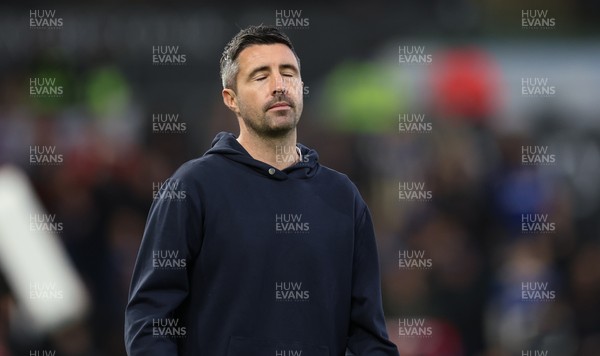081125 - Swansea City v Ipswich Town, EFL Sky Bet Championship - Swansea City head coach Alan Sheehan reacts during the match