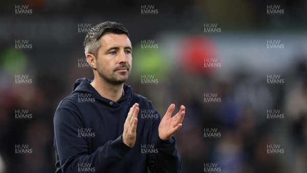 081125 - Swansea City v Ipswich Town, EFL Sky Bet Championship - Swansea City head coach Alan Sheehan reacts during the match