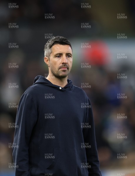 081125 - Swansea City v Ipswich Town, EFL Sky Bet Championship - Swansea City head coach Alan Sheehan reacts during the match