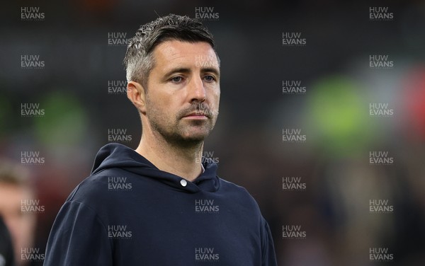 081125 - Swansea City v Ipswich Town, EFL Sky Bet Championship - Swansea City head coach Alan Sheehan reacts during the match