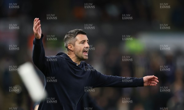 081125 - Swansea City v Ipswich Town, EFL Sky Bet Championship - Swansea City head coach Alan Sheehan reacts during the match