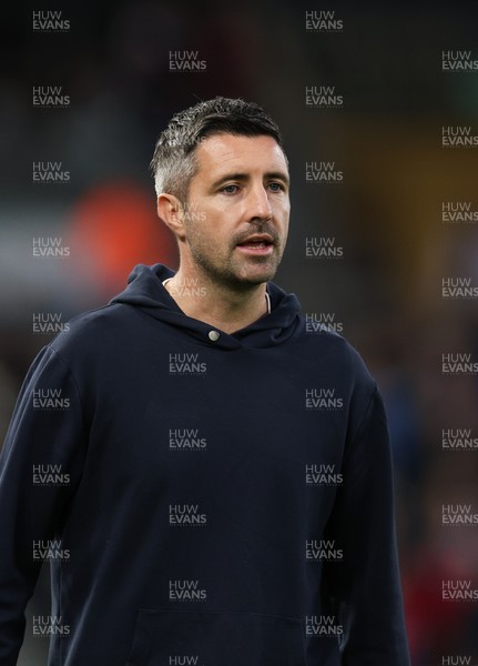 081125 - Swansea City v Ipswich Town, EFL Sky Bet Championship - Swansea City head coach Alan Sheehan reacts during the match