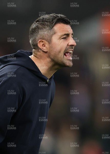 081125 - Swansea City v Ipswich Town, EFL Sky Bet Championship - Swansea City head coach Alan Sheehan reacts during the match