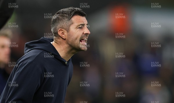 081125 - Swansea City v Ipswich Town, EFL Sky Bet Championship - Swansea City head coach Alan Sheehan reacts during the match