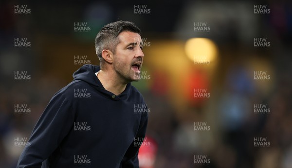 081125 - Swansea City v Ipswich Town, EFL Sky Bet Championship - Swansea City head coach Alan Sheehan reacts during the match