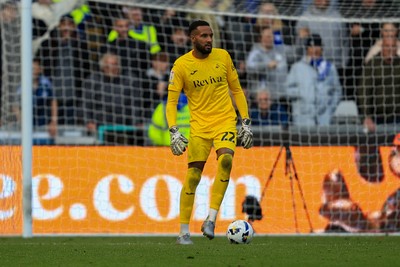 041025 - Swansea City v Leicester City - Sky Bet Championship - Lawrence Vigouroux of Swansea City