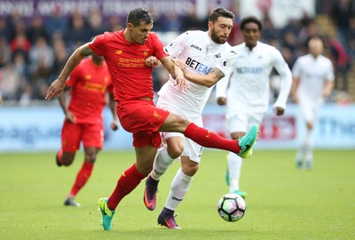 011016 - Swansea City v Liverpool, Premier League - Borja Gonzalez of Swansea City and Dejan Lovren of Liverpool compete for the ball