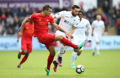 011016 - Swansea City v Liverpool, Premier League - Borja Gonzalez of Swansea City and Dejan Lovren of Liverpool compete for the ball