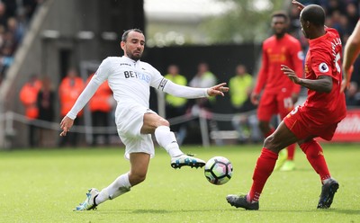 011016 - Swansea City v Liverpool, Premier League - Leon Britton of Swansea City competes with Georginio Wijnaldum of Liverpool to win the ball