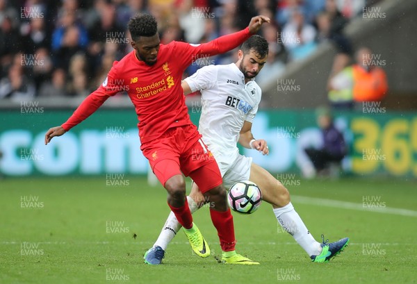 011016 - Swansea City v Liverpool, Premier League - Daniel Sturridge of Liverpool holds off Jordi Amat of Swansea City