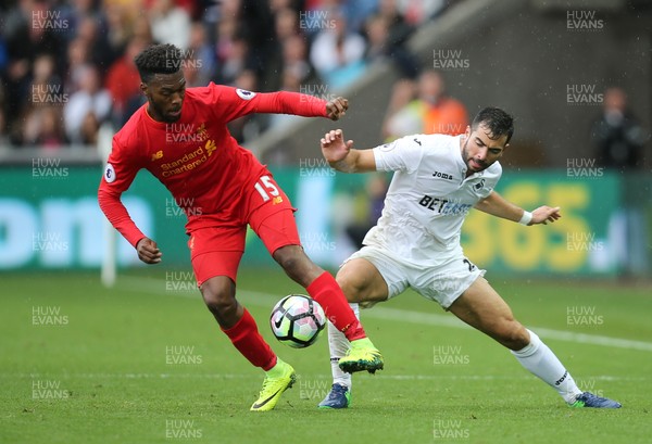 011016 - Swansea City v Liverpool, Premier League - Daniel Sturridge of Liverpool holds off Jordi Amat of Swansea City