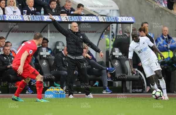 011016 - Swansea City v Liverpool, Premier League - Swansea City manager Francesco Guidolin issues instructions as Modou Barrow of Swansea City takes on James Milner of Liverpool