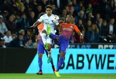 Swansea City v Manchester City 210916