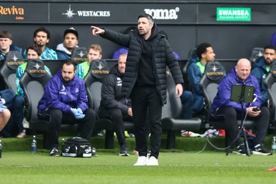 080325 - Swansea City v Middlesbrough - Sky Bet Championship - Swansea City interim manager Alan Sheehan gestures