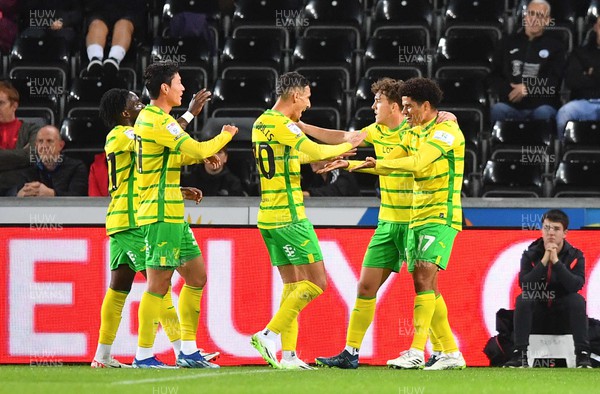 041023 - Swansea City v Norwich City - EFL SkyBet Championship - Gabriel Sara of Norwich City celebrates scoring goal