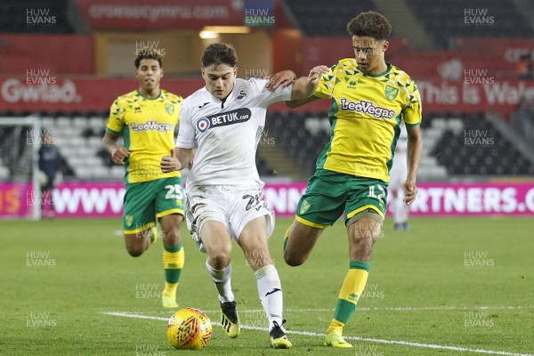 241118 - Swansea City v Norwich City, EFL Championship - Daniel James of Swansea City (left) and Jamal Lewis of Norwich City battle for the ball