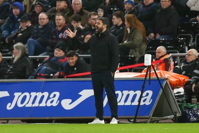 091225 - Swansea City v Portsmouth - Sky Bet Championship - Swansea City manager Vitor Matos reacts on the touchline