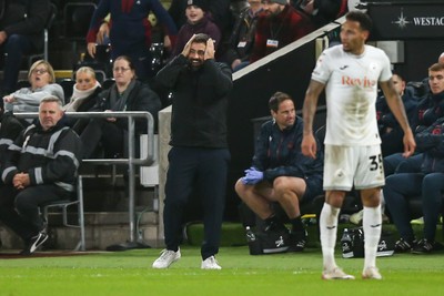 091225 - Swansea City v Portsmouth - Sky Bet Championship - Swansea City manager Vitor Matos reacts on the touchline