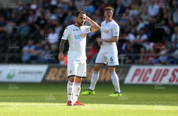 050817 - Swansea City v Sampdoria - Pre Season Friendly - Leon Britton of Swansea