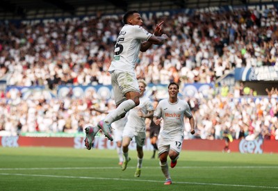 160825 - Swansea City v Sheffield United - SkyBet Championship - Ronald of Swansea City celebrates scoring a goal