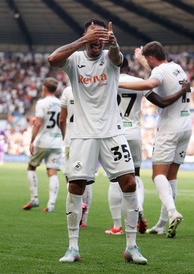160825 - Swansea City v Sheffield United - SkyBet Championship - Ronald of Swansea City celebrates scoring a goal