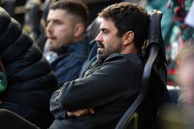 080226 - Swansea City v Sheffield Wednesday - Sky Bet Championship - Vitor Matos, Swansea Head Coach