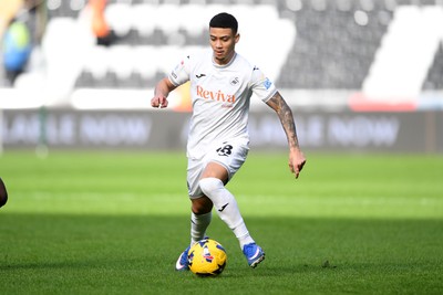 080226 - Swansea City v Sheffield Wednesday - Sky Bet Championship - Gustavo Nunes of Swansea City