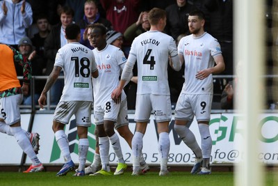 080226 - Swansea City v Sheffield Wednesday - Sky Bet Championship - Zan Vipotnik of Swansea City celebrates scoring a goal with team mates