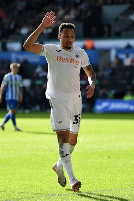 080226 - Swansea City v Sheffield Wednesday - Sky Bet Championship - Ronald of Swansea City